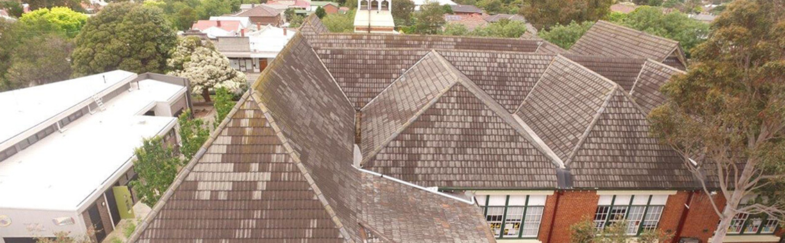 educational_walesprimary_1131